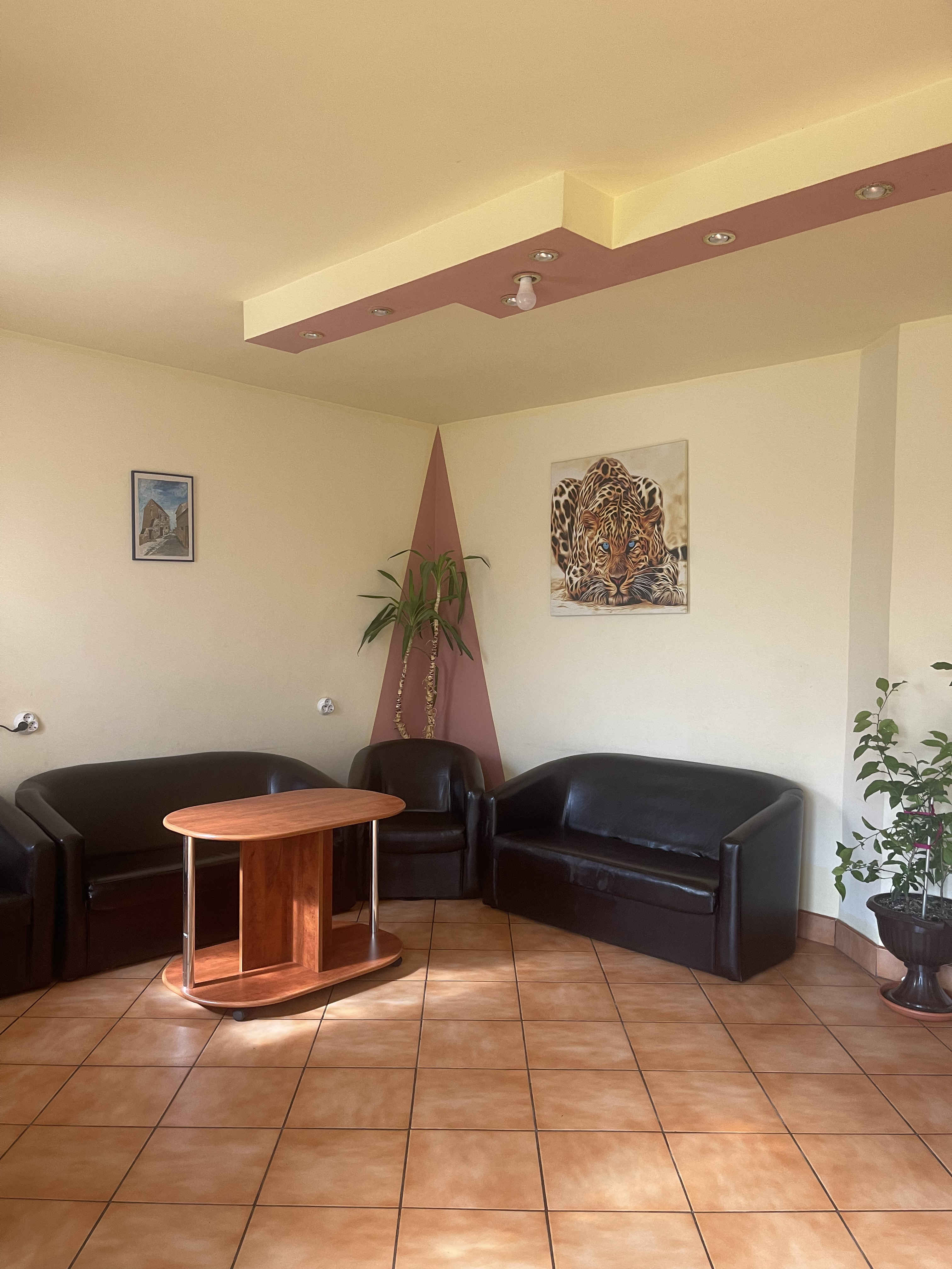 Loc de relaxare living